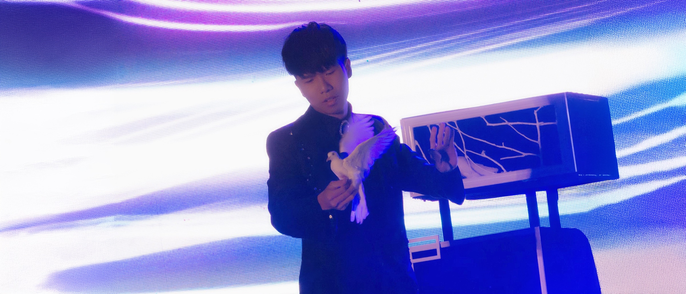幻影鴿王於大型舞台手持白鴿演出鴿子魔術