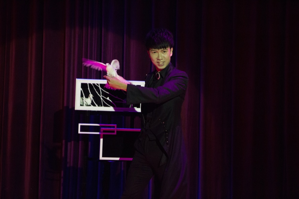 幻影鴿王於紅色舞台布幕前進行鴿子魔術表演