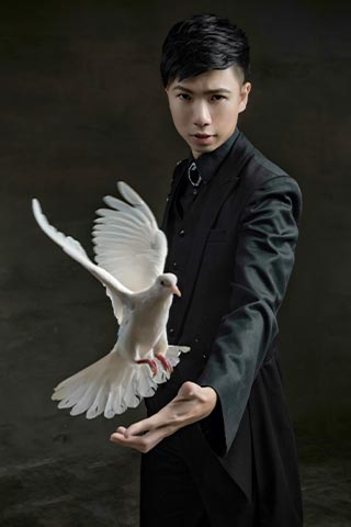 幻影鴿王與展翅鴿子的魔術形象照