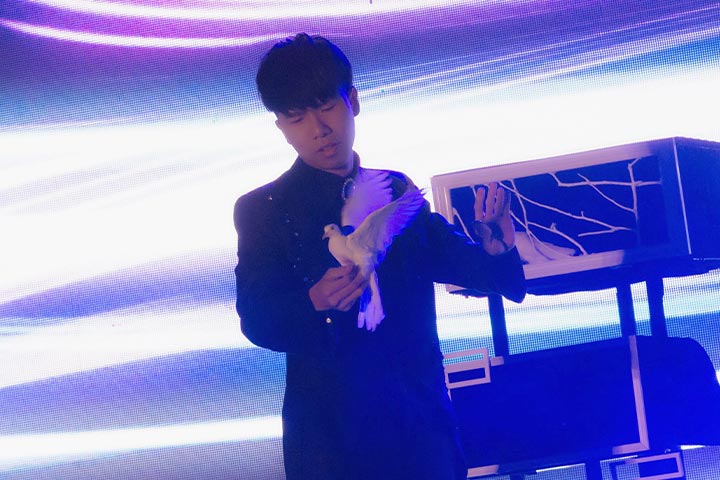 幻影鴿王在舞台上進行鴿子魔術表演