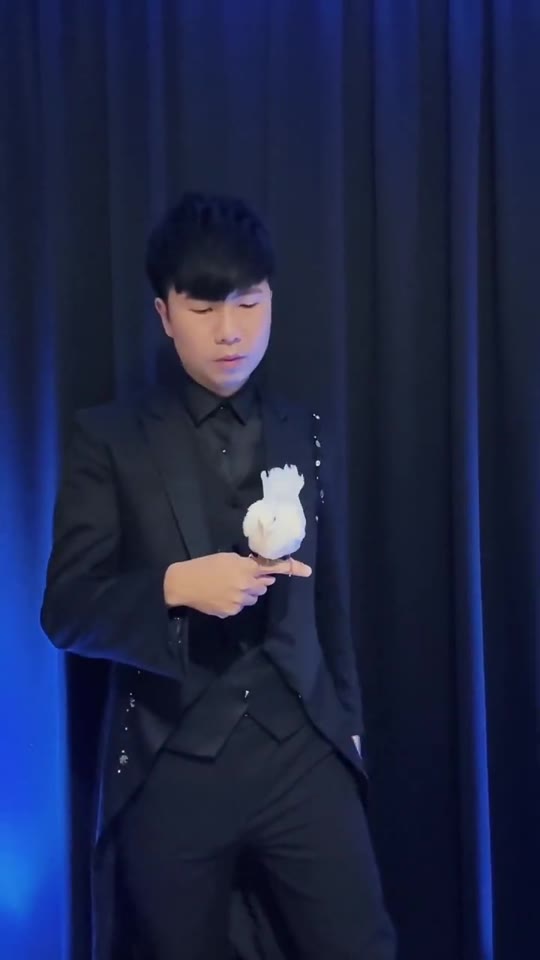 鴿子變成雪花的舞台魔術片段